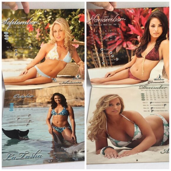 NEW Miami Dolphins Cheerleaders Discovery Cove 2008 2009 Sixteen Month Calendar - Picture 10 of 16